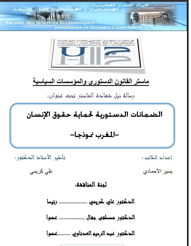 الضمانات الدستورية لحماية حقوق الإنسان